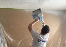 room-ceiling-painting